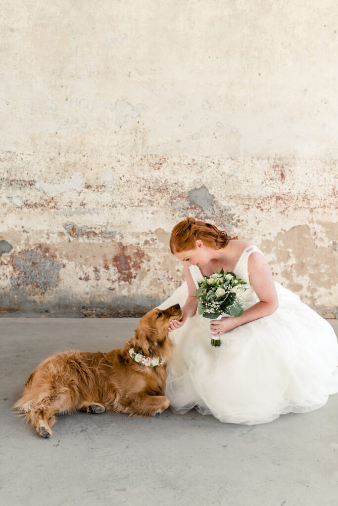 Bride, in a white dress holding a white floral bouquet, pets her golden retriever at Providence Cotton Mill wedding venue. Photographed by Charlotte wedding photographer, Stephanie Bailey Photography.